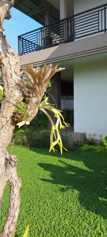 Indraprastha Cottage Ubud Εξωτερικό φωτογραφία